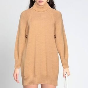Dixie Short Wool Turtle Neck Dress